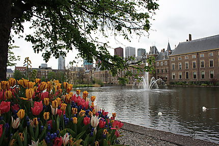 Le Binnenhof 