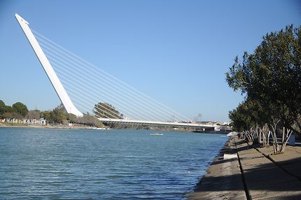 Sevilla, Puente del Alamillo