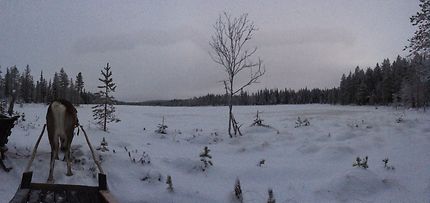 Au milieu de nulle part en Laponie