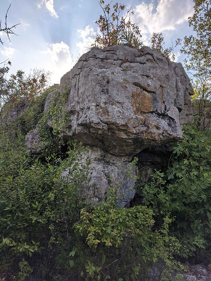 Rocher dans la végétation