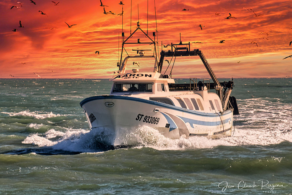 Retour de pêche au port du Grau d'Agde