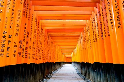 Fushimi Inari et ses portes hypnotiques