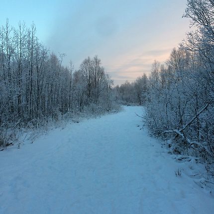 Lever du jour à midi en Laponie