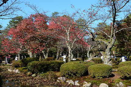 Jardin Kenroku-en Kanazawa 