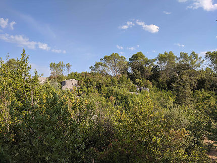 Rochers émergeants à Sauve