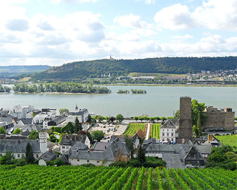 Dans les vignobles de Rhénanie