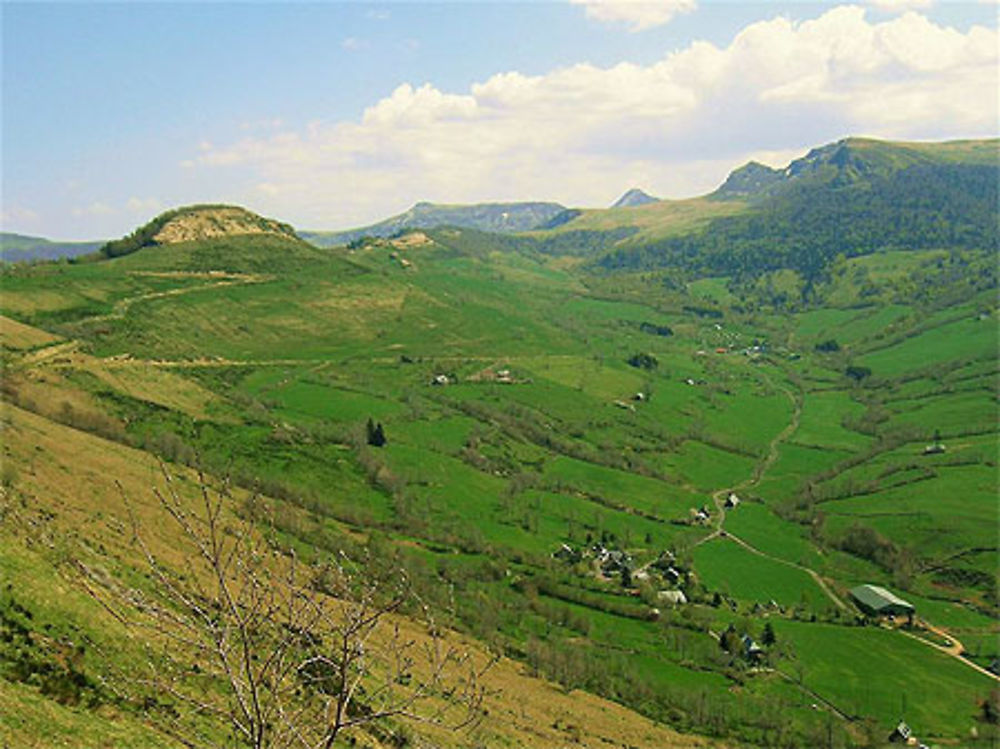 Vallée de la Maronne