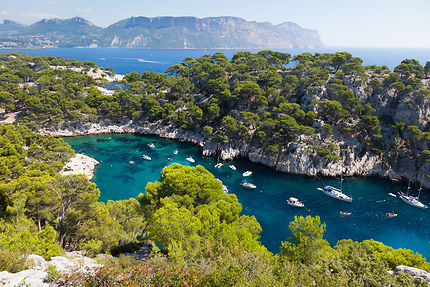 Calanques de Marseille / Calanques de Piana - Provence, Corse