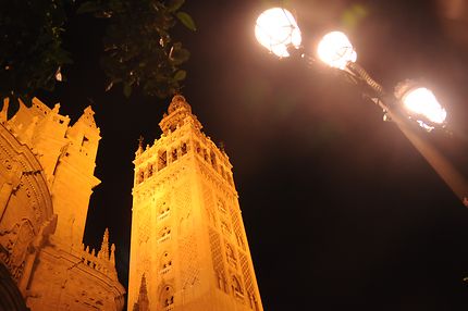 La Giralda la nuit à Séville