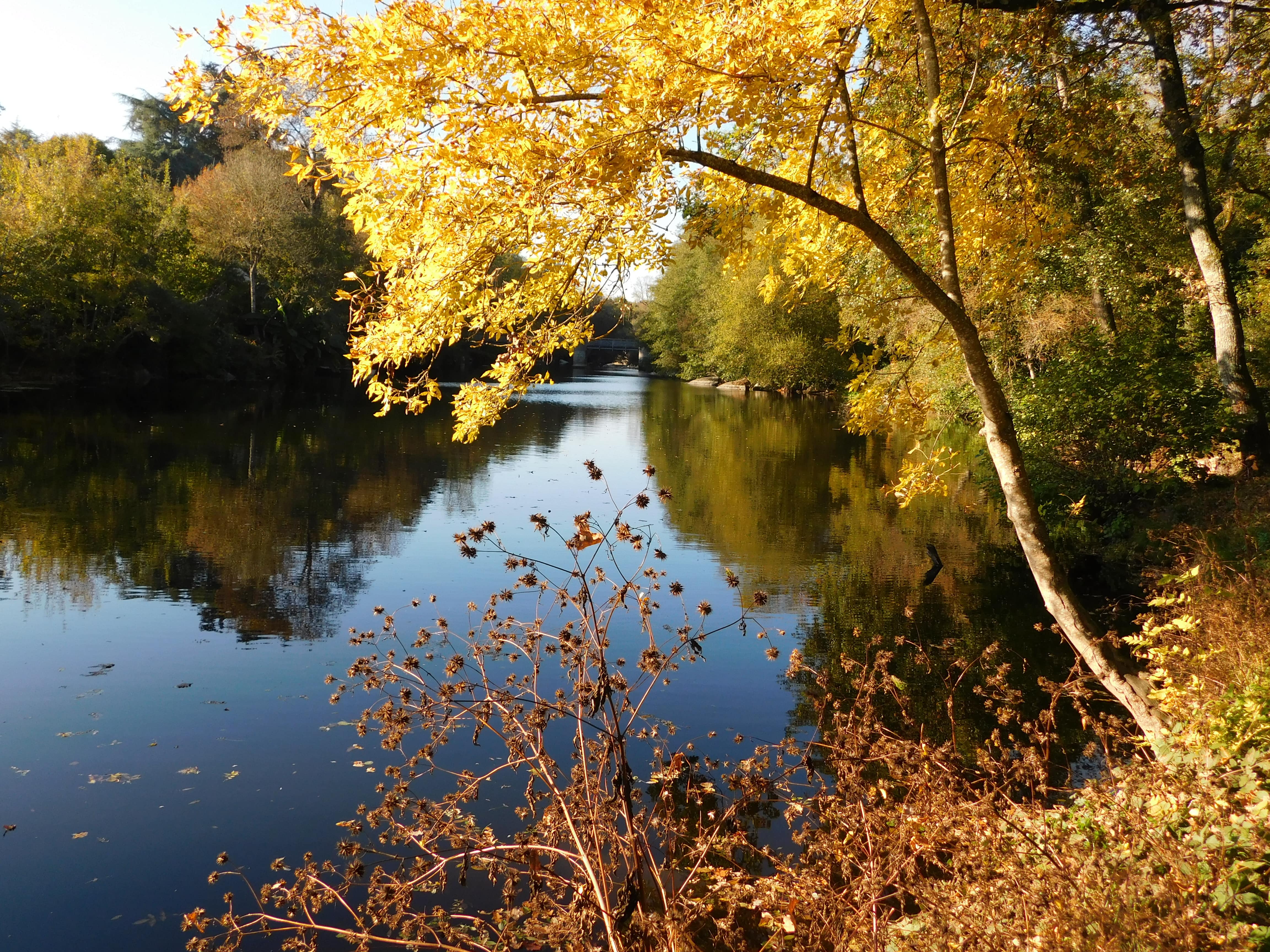 Couleurs d'automne à Clisson Couleurs d'automne à Clisson