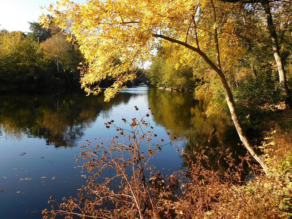 Couleurs d'automne à Clisson