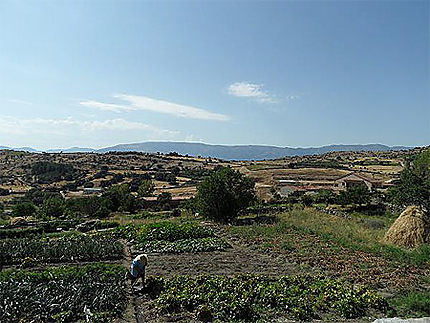 Agriculture en Vieille Castille, San Juan de la Nava, Ávila 