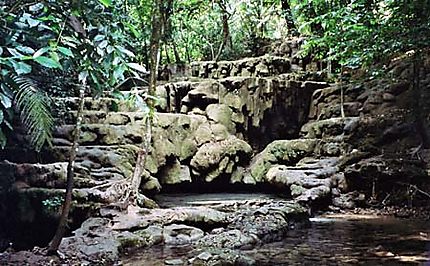 Cascade dans la jungle de Palenque