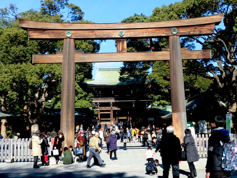 Grand Tori Grand Tori