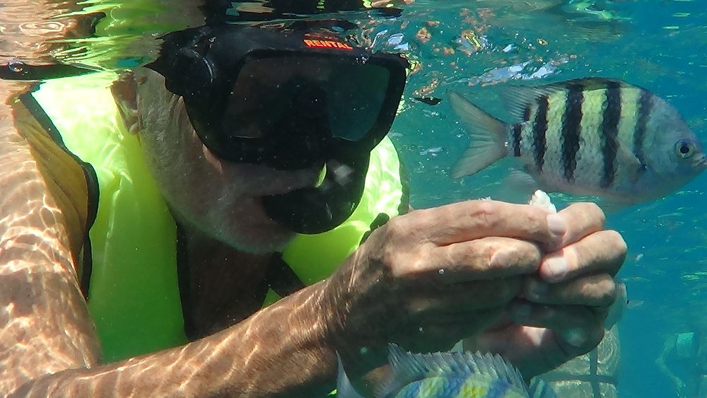 Catamaran Tip Top snorkeling baie de Sosua