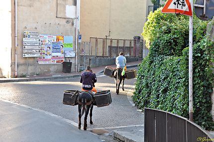 Employés communaux à Castelbuono