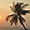 Coucher de soleil sur l'ile de Ko Lan