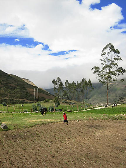 Entre Riobamba et Alausi