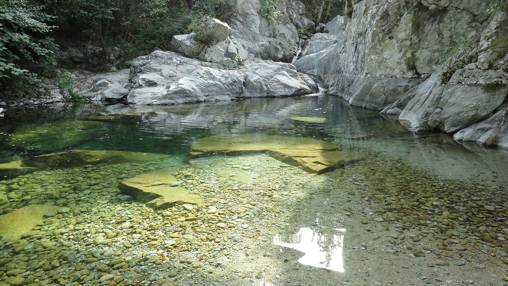 Piscine nature