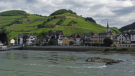 Vallée du Rhin