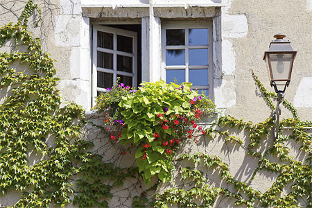 Aix-les-Bains - Hôtel de Ville - Fenêtre jardin