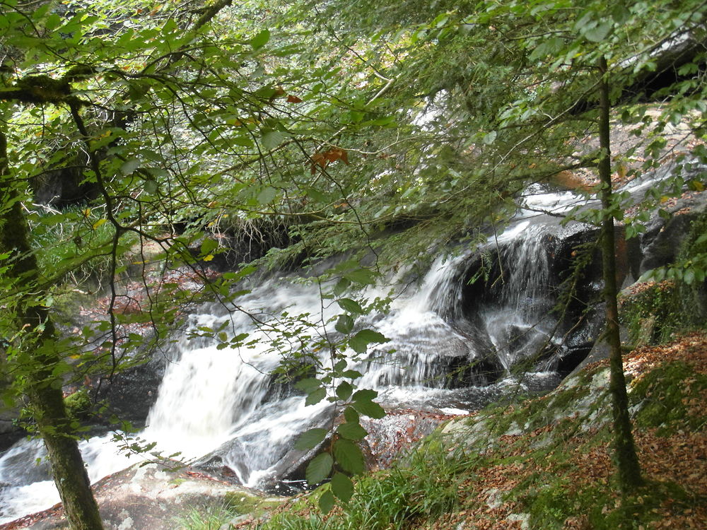 La cascade de St Herbot