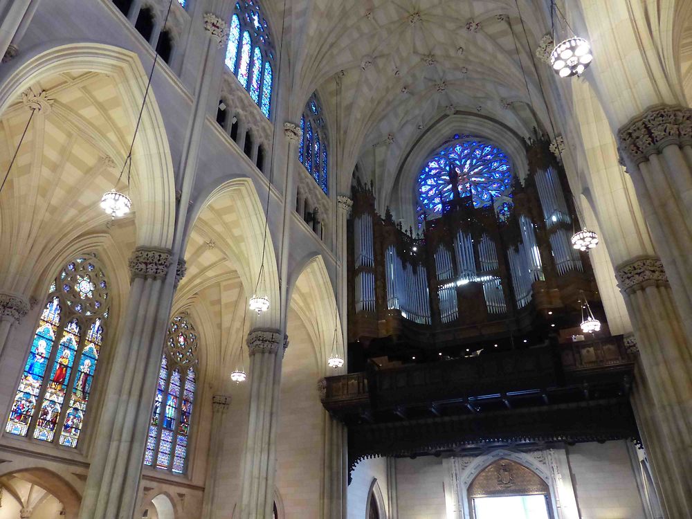 Cathédrale Saint Patrick - Orgues