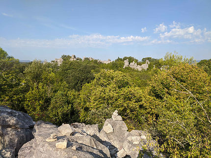 Mer de rochers à Sauve