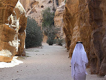 Le siq Al Barid de la petite Petra