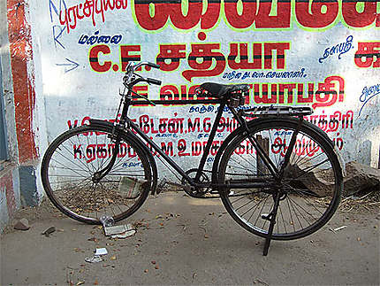 Vélo solitaire à Madras