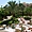 Photo hôtel Hotel Flamenco Beach Resort