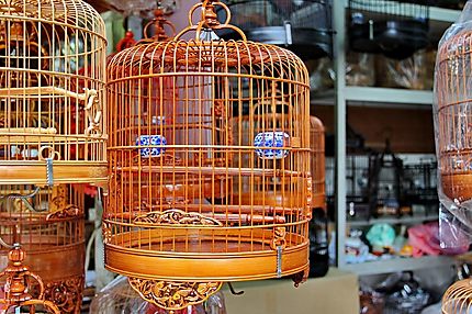 Cage en bois, marché aux oiseaux HK