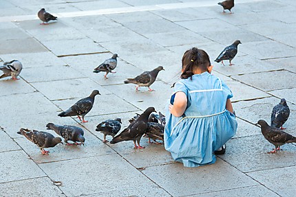 La petite fille et les pigeons