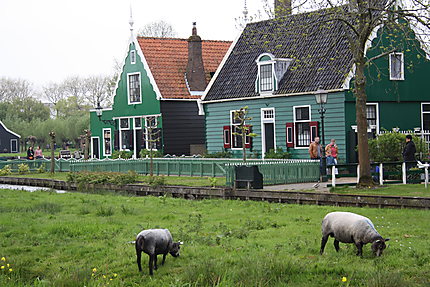 Village historique de Zaanse Schans