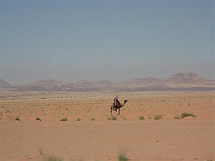 Le meilleur moyen de transport dans le Wadi Rum