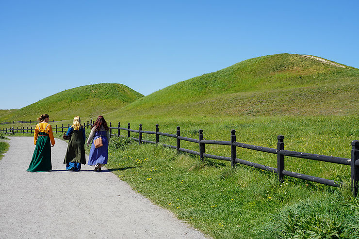 Suède : au pays des Vikings, autour de Stockholm