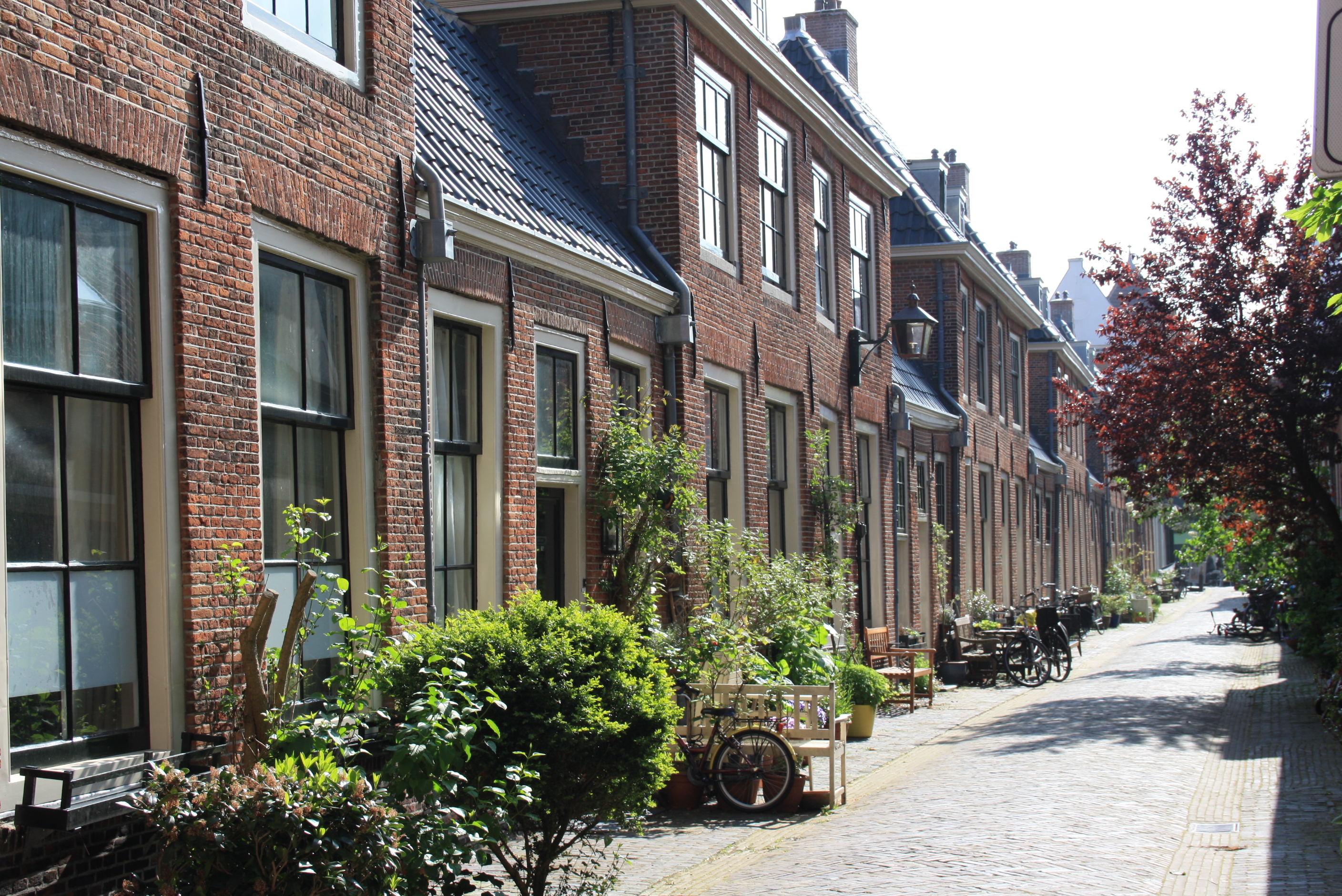 Haarlem et ses ruelles pavées Haarlem et ses ruelles pavées