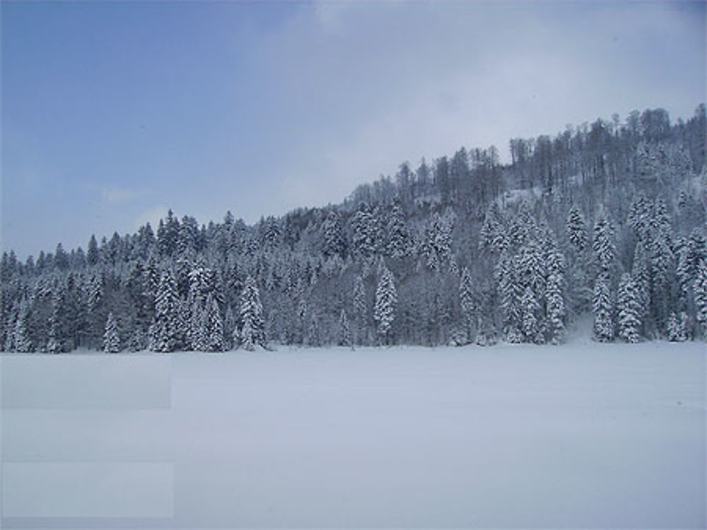 Lac enneigé