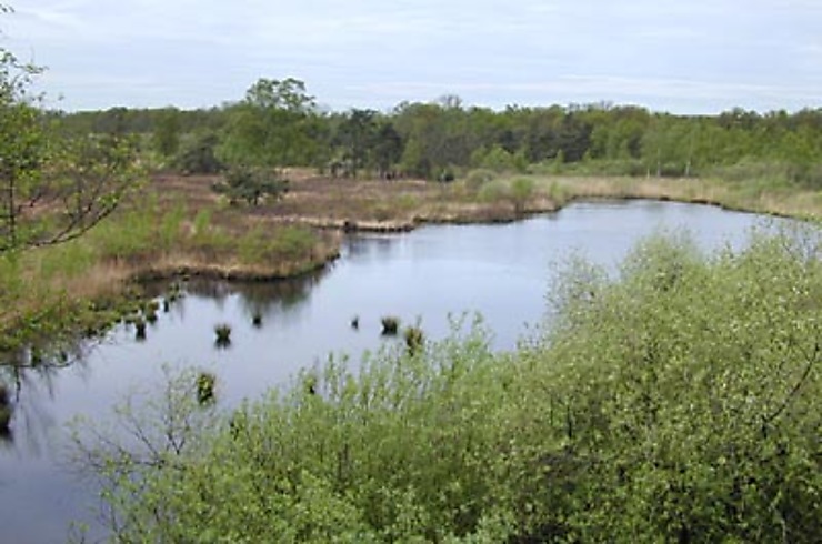 La réserve naturelle de " De Liereman "