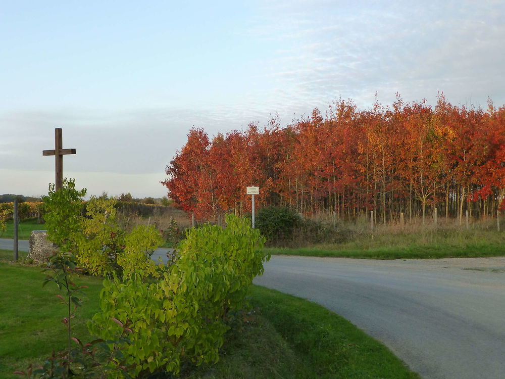 Calvaire à l'automne à Vauchrétien