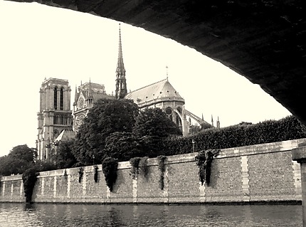 La cathédrale et la Seine