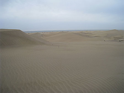 Dunes de Maspalomas