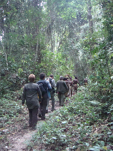 Marche en forêt Marche en forêt