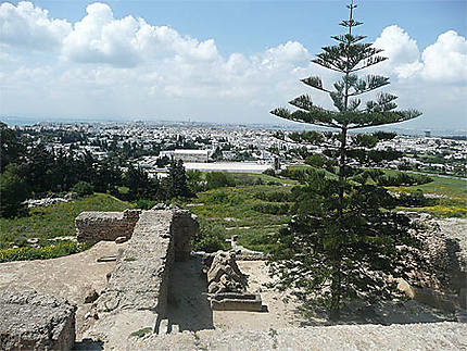 A Carthage