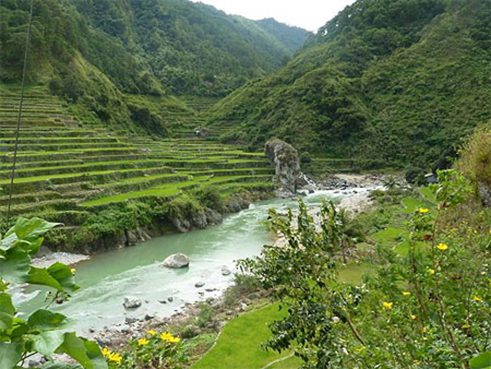 Bontoc