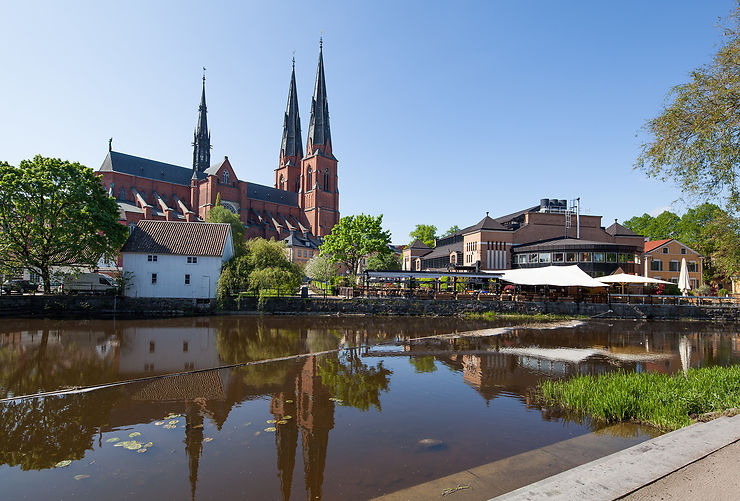 Uppsala Gamla, berceau viking