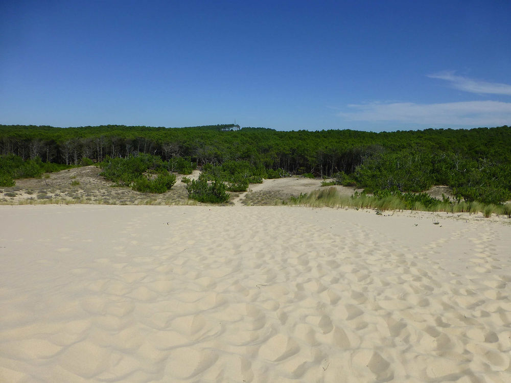 La côte Aquitaine