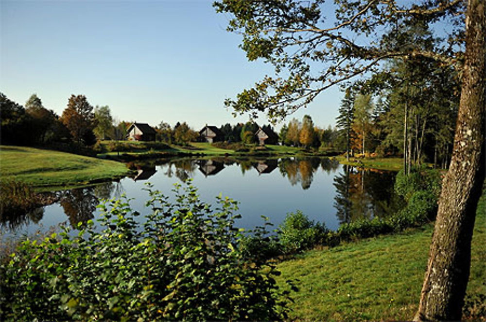 Plateau des Mille étangs