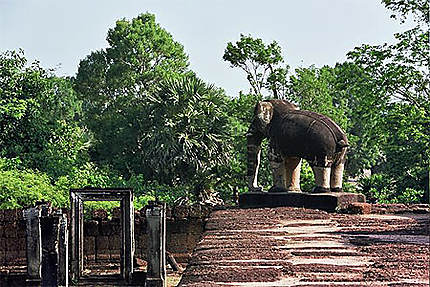 Les éléphants du Mébon oriental
