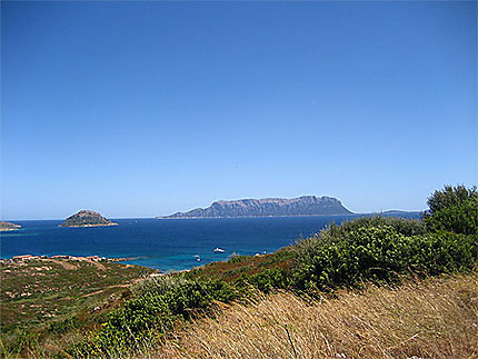 Panoramique Sarde